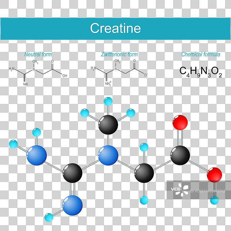 肌酸分子化学结构图片素材