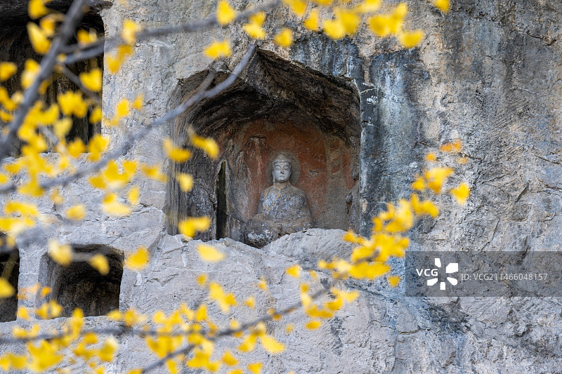 中国河南省洛阳秋天银杏叶衬托下的龙门石窟图片素材