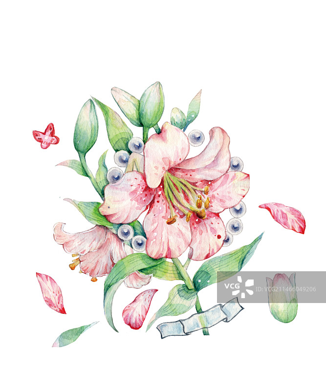 清新水彩手绘重瓣石葱植物系列粉红色百合鲜花植物插画图片素材