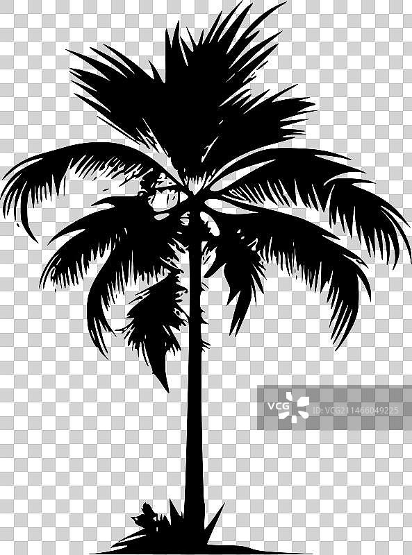 极简棕榈树剪影图片素材