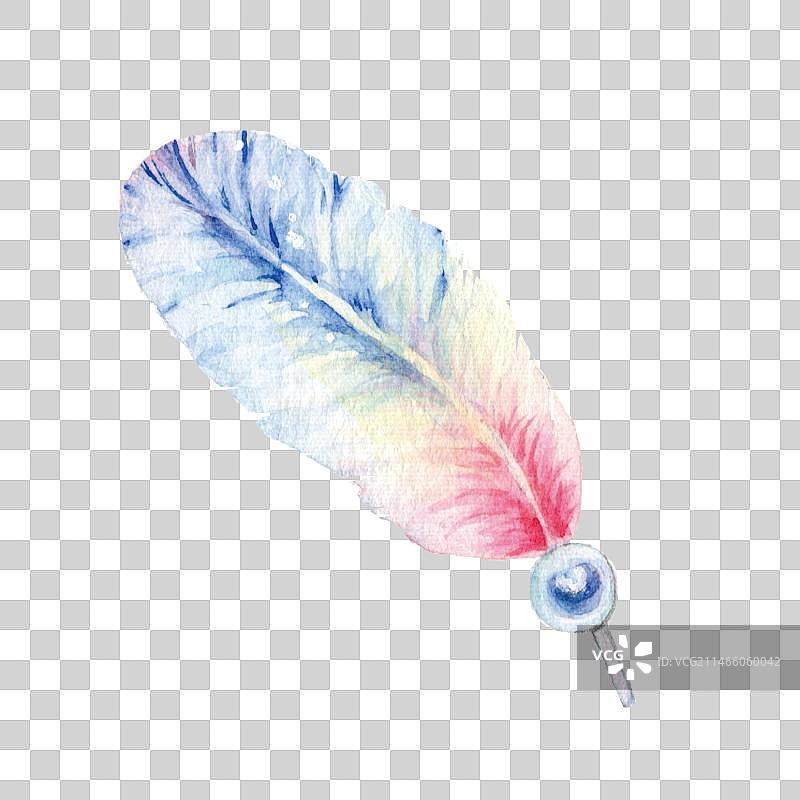 水彩手绘一只彩色羽毛鹅毛复古水写笔特写镜头图片素材