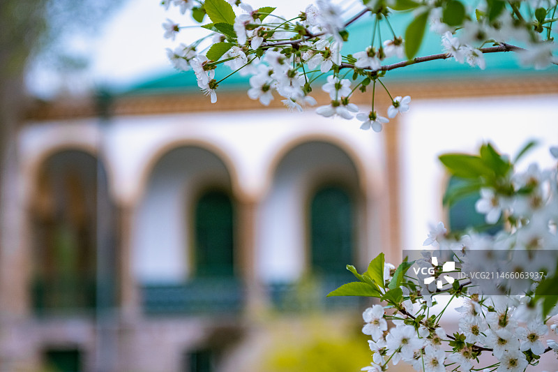 大美新疆伊犁六星街哈萨克民族街图片素材