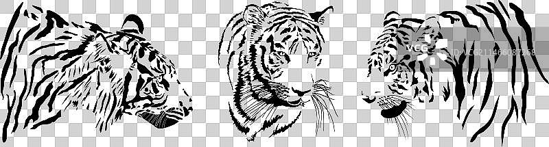 老虎头图片素材