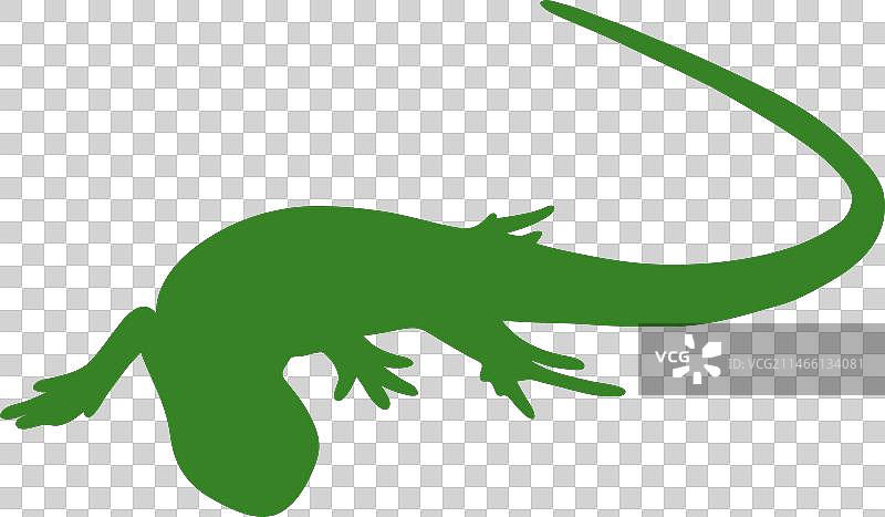 蜥蜴剪影爬行动作图片素材