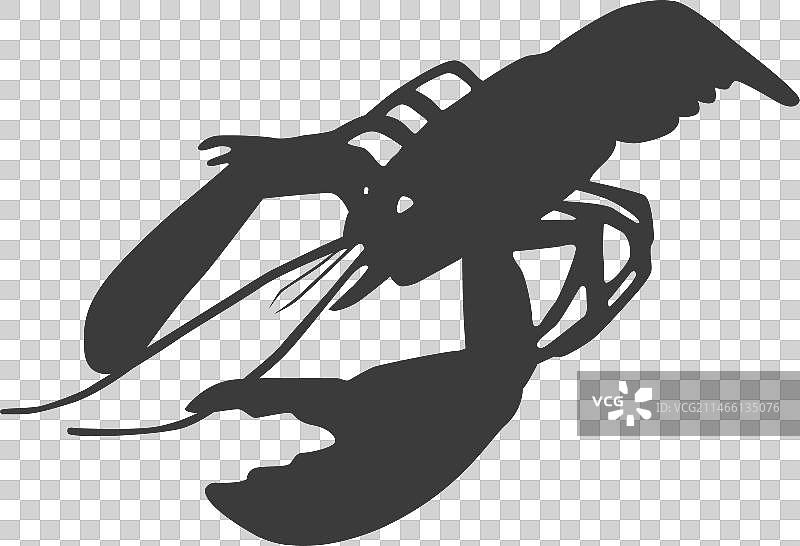 龙虾尾触角剪影图片素材