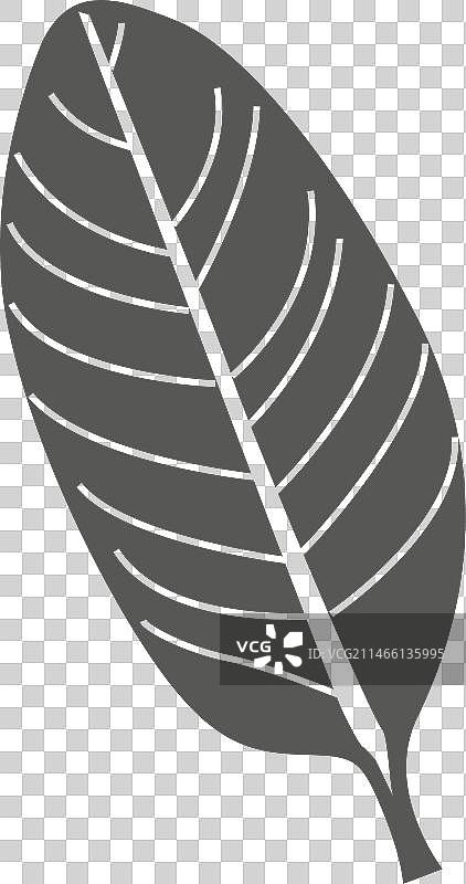 蝗虫线条笔画叶子图片素材