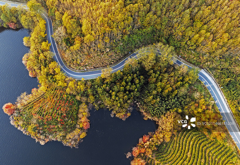 河南新县：初冬的色彩(3)图片素材