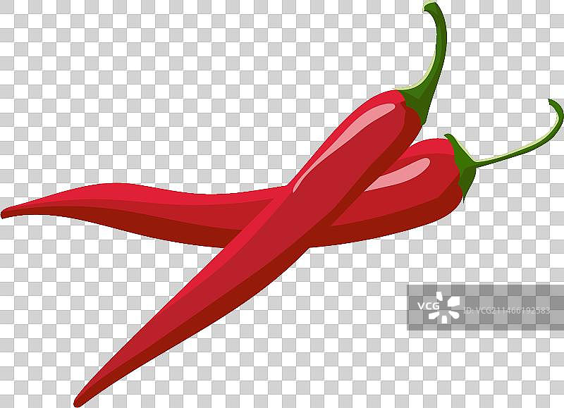 红辣椒矢量素材图片素材