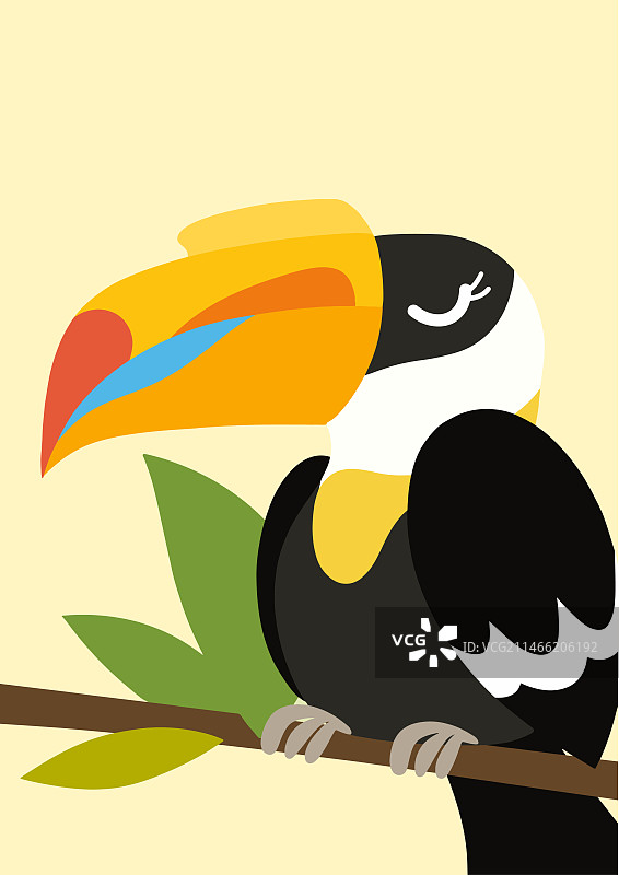 扁平风插画_鸟类_大嘴鸟图片素材