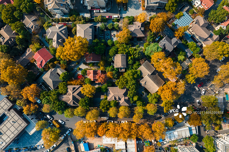 南京颐和路秋景图片素材