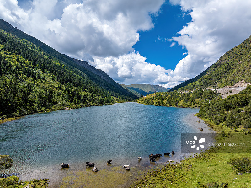 航拍西藏朗县拉多藏湖白昼风光图片素材