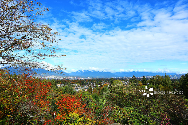 远眺温哥华(皇后公园山顶)图片素材
