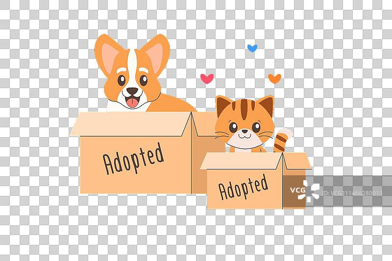 箱子里的柯基犬和猫咪宠物领养图片素材