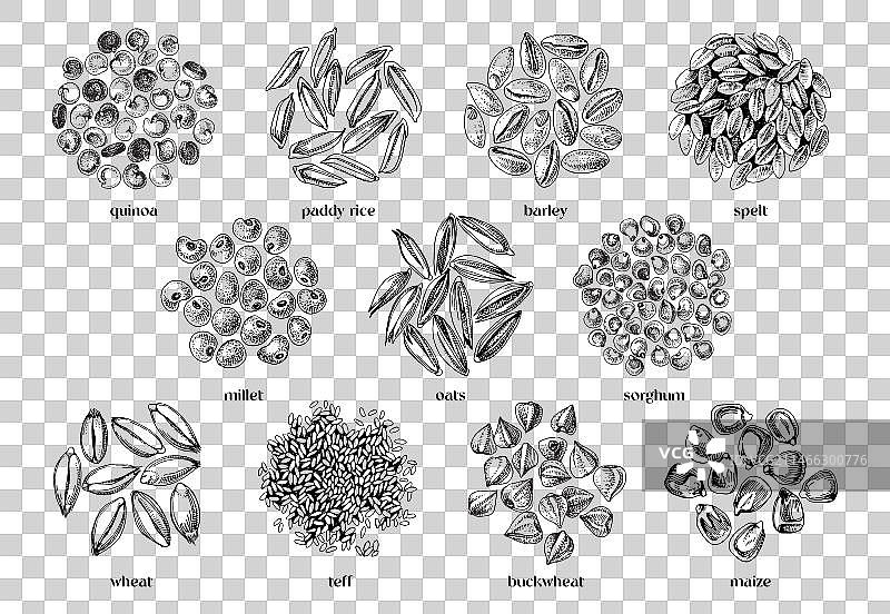 谷物种子合集图片素材