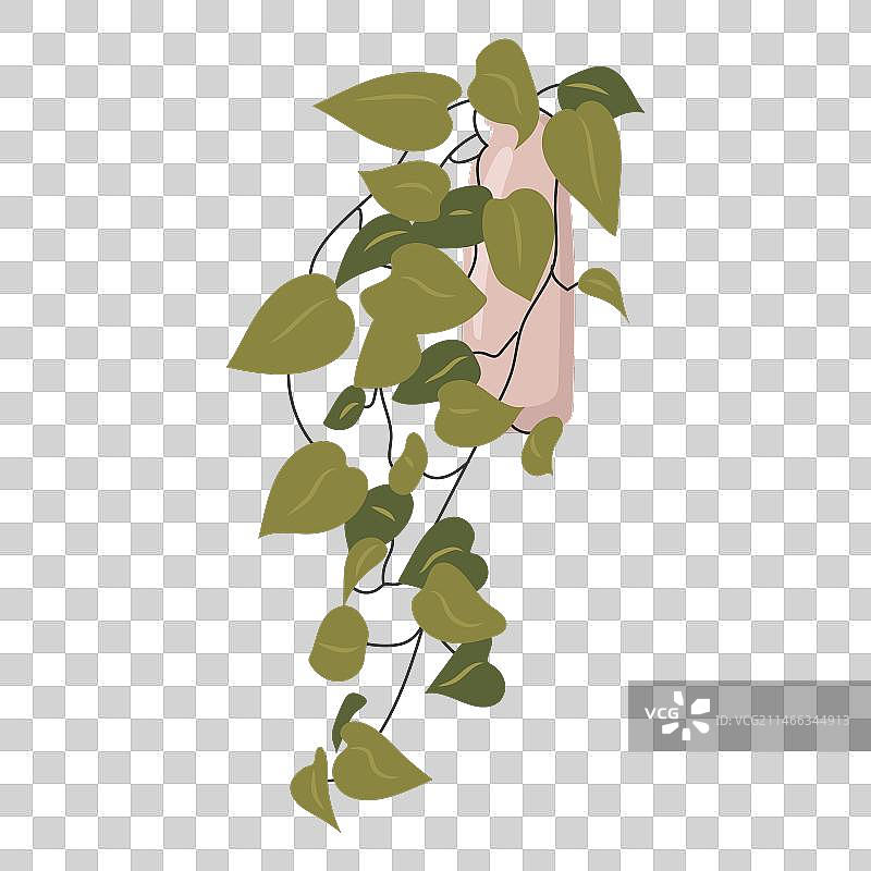 花盆里的可爱热带盆栽图片素材