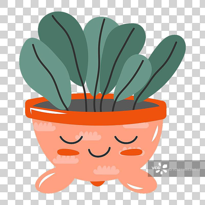 花盆里的可爱植物图片素材