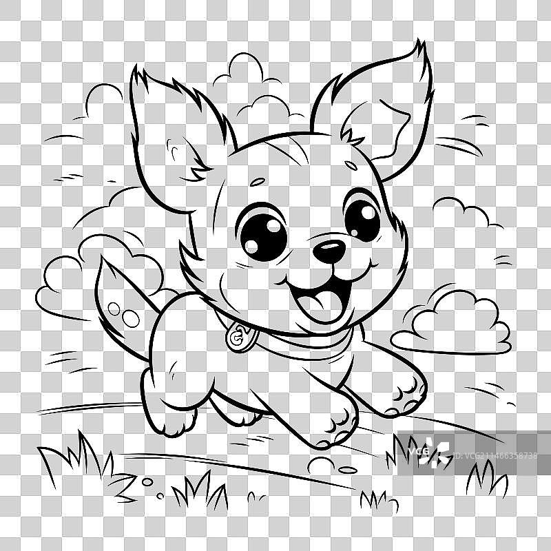 可爱的小吉娃娃幼犬着色书图片素材