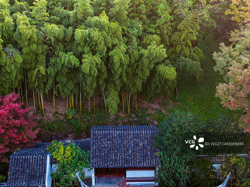 苏州虎丘山风景名胜区，秋季航拍图片素材