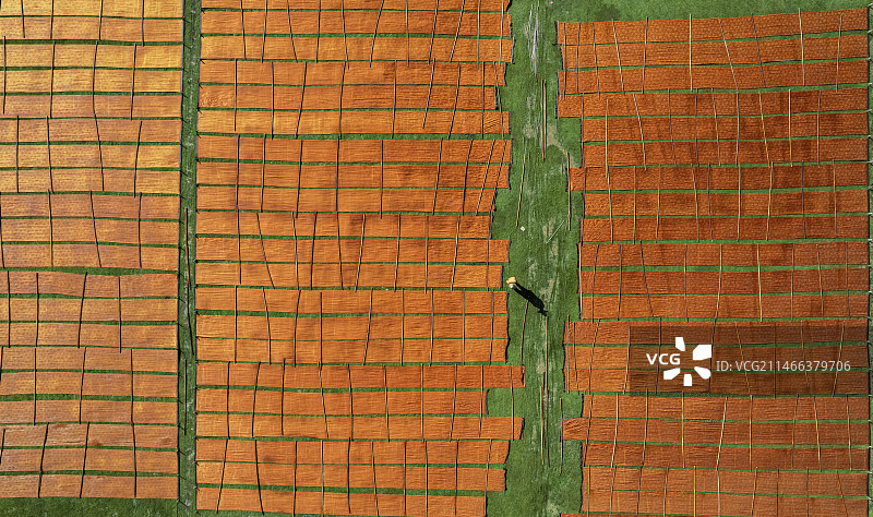 农业领域的高角度视角图片素材