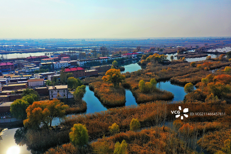 华北明珠白洋淀冬季风光色斑斓 （雄安新区安新县赵庄子）图片素材