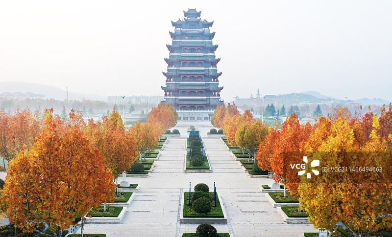 山东枣庄山亭区广场上金色的法桐和翼云阁图片素材