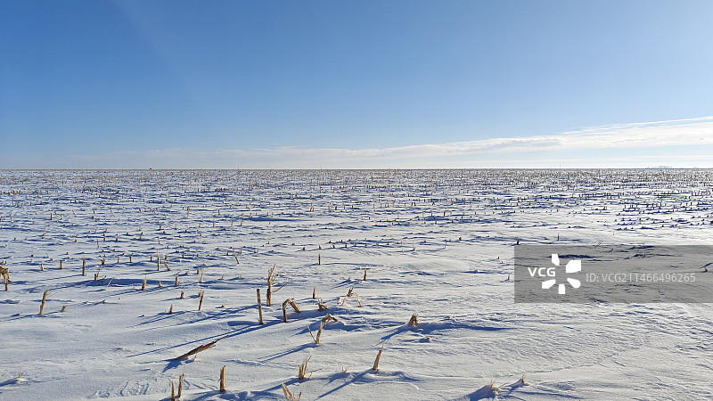 北国冬天的茫茫雪原图片素材