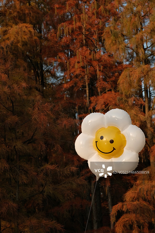 秋景 水杉林前的笑脸气球图片素材
