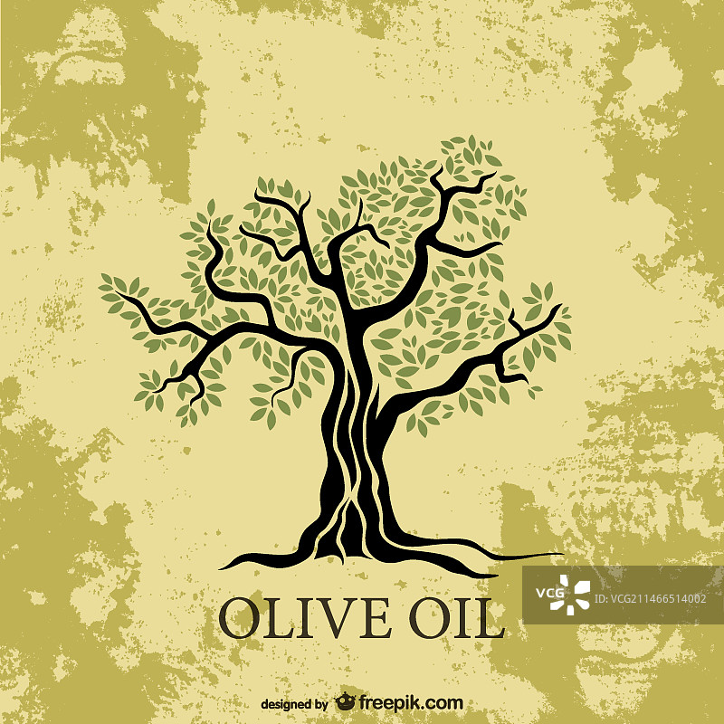 橄榄树图片素材