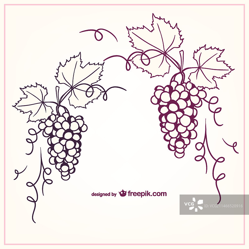 手绘葡萄图片素材