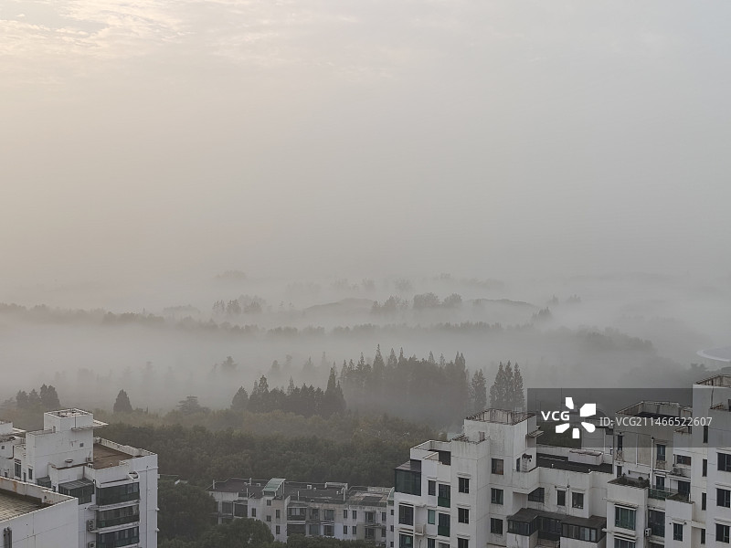清晨 大雾中的世纪公园 高视角图片素材