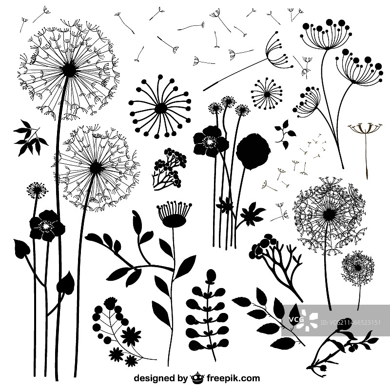 野花剪影图片素材