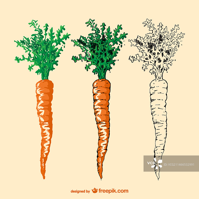 手绘胡萝卜图片素材