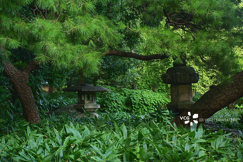 新宿御苑林带图片素材