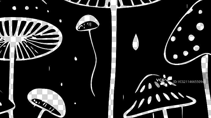 黑白蘑菇图片素材
