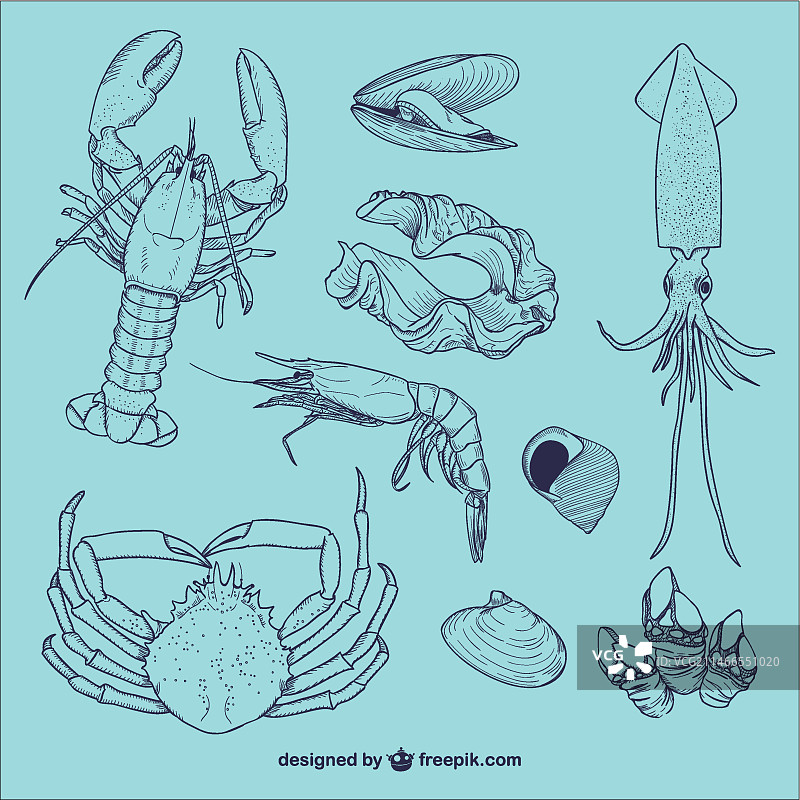 海洋生物插画图片素材