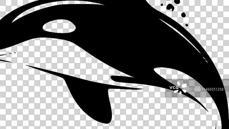 虎鲸-简约剪影图片素材