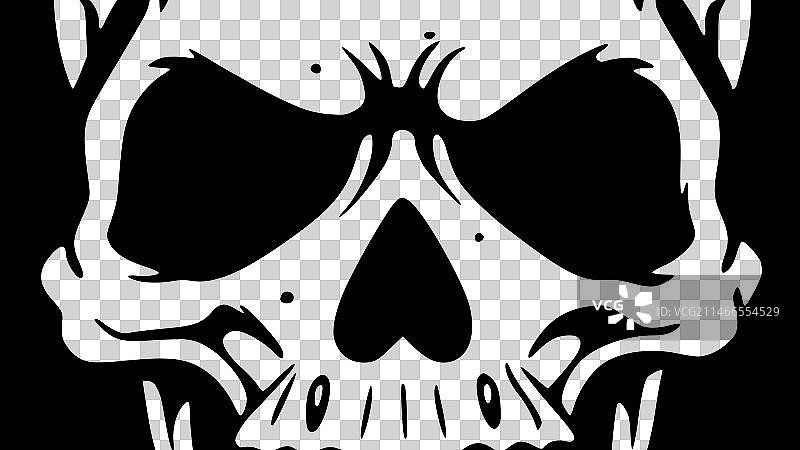 头骨-黑色和白色图片素材