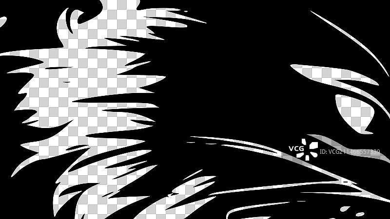 野猫 - 简约剪影图片素材