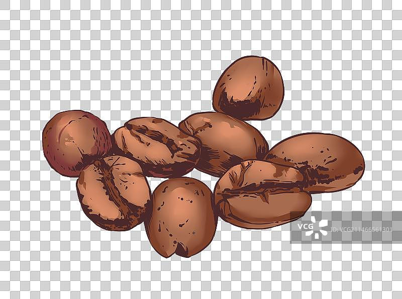 手绘咖啡豆图片素材