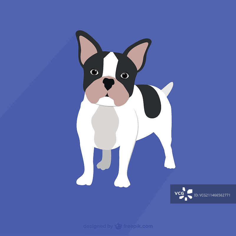 法国斗牛犬绘画图片素材