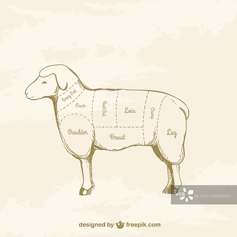 羊肉切块画作图片素材