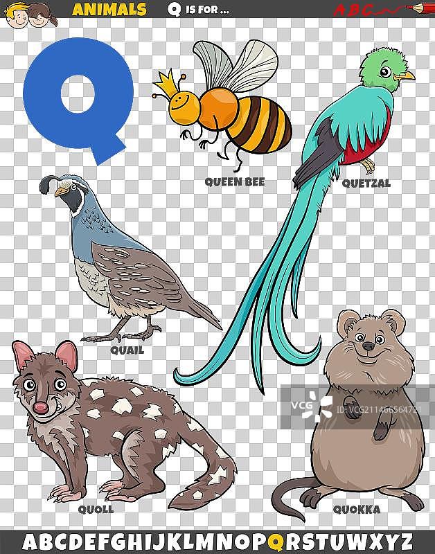 Q字母卡通动物形象图片素材