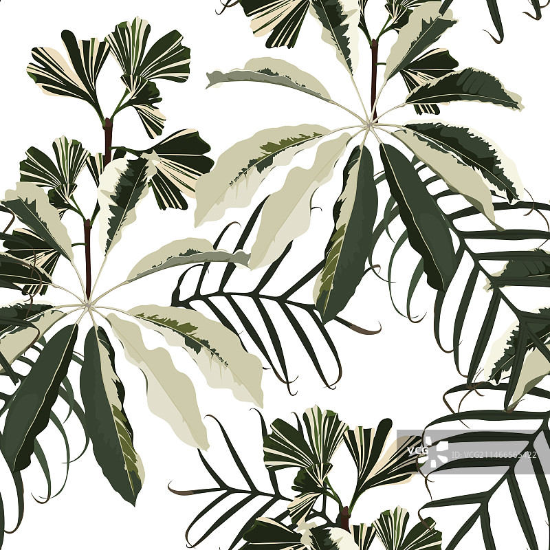 传统家养植物无缝图案图片素材