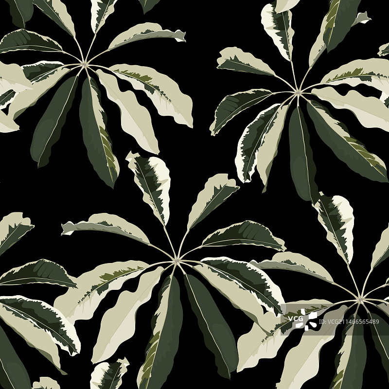 传统家居植物叶子无缝图案图片素材