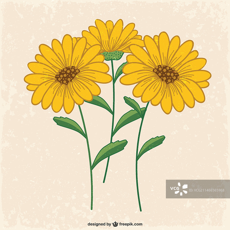 黄色的花图片素材