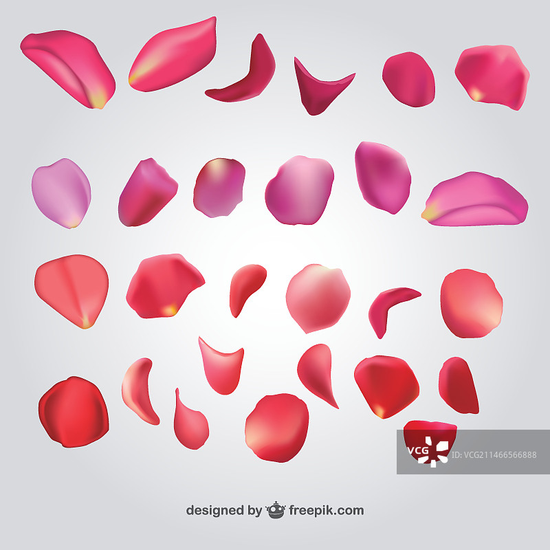 花瓣素材包图片素材