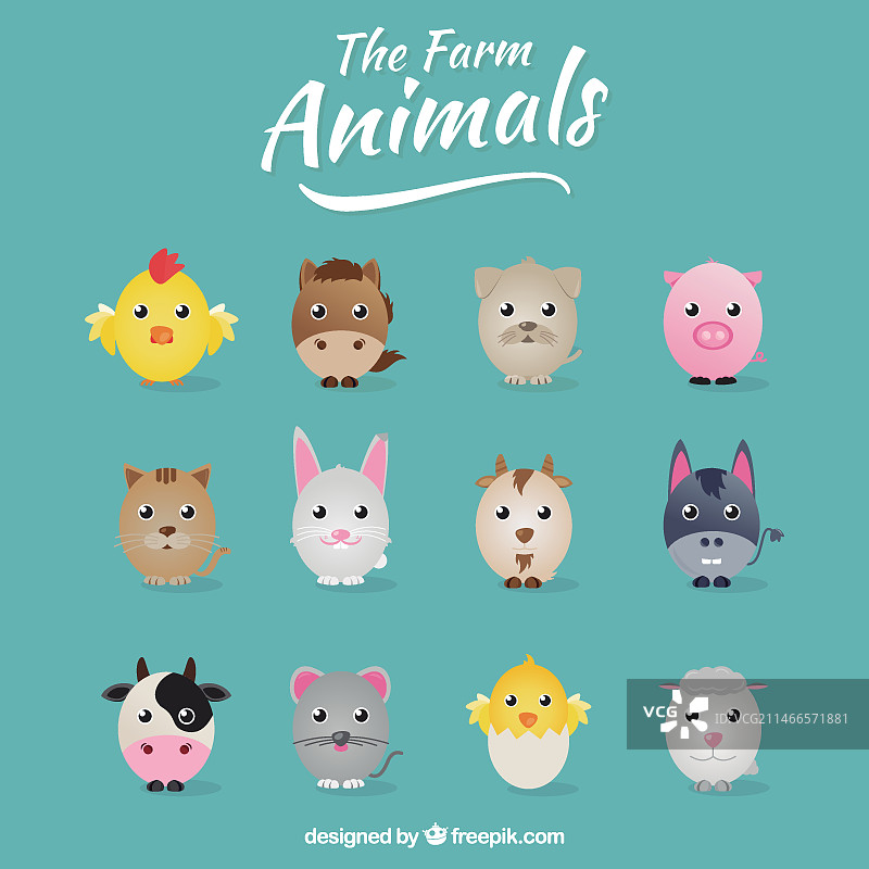 农场动物合集图片素材
