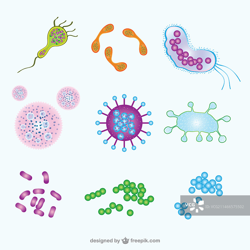微生物插图图片素材