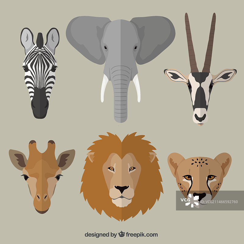 非洲动物图片素材