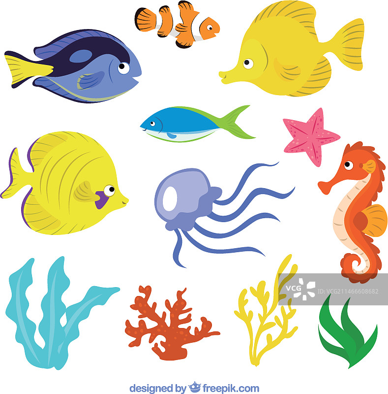 海洋生物插画图片素材